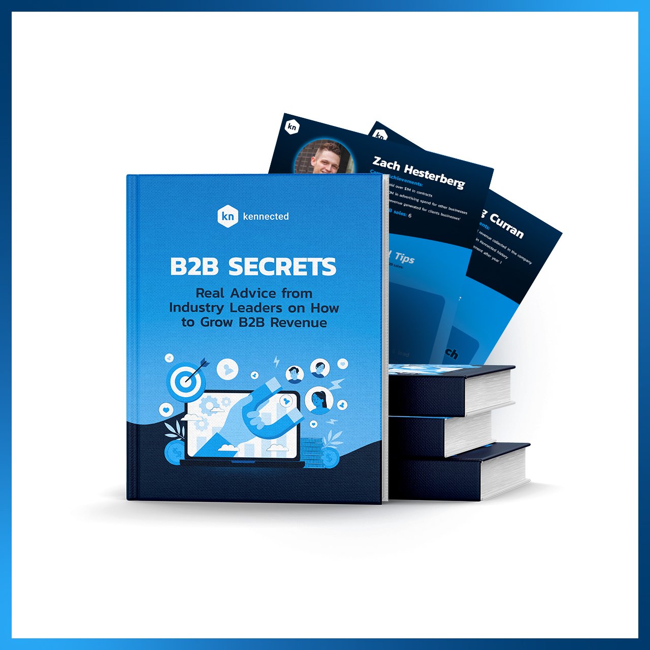 B2B Secrets - HubSpot Graphic